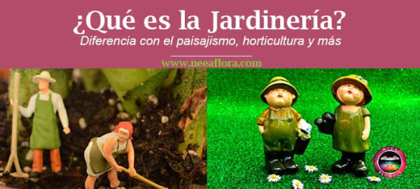 En este blog hablo mucho de la jardinería, pero...¿Qué es la jardinería? Además ¿Qué diferencia hay entre la jardinería y el paisajismo, horticultura, agricultura, floricultura y otros términos? En este artículo lo explicaré rápido y fácil.