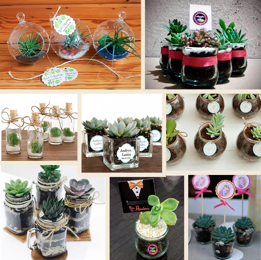 Recordatorios en vidrio con plantas y suculentas. Recordatorios Bogotá Neea Flora
