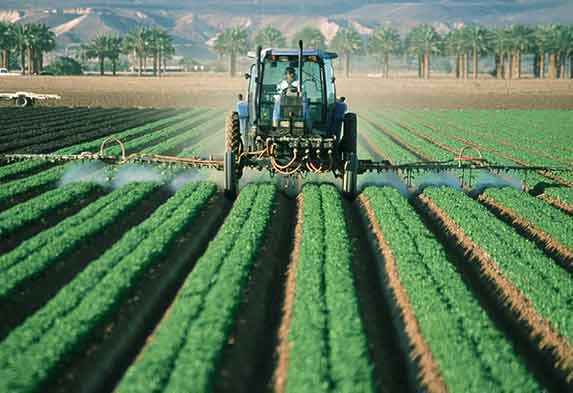 Diferencia jardinería y agricultura Diferencia jardinería y agricultura