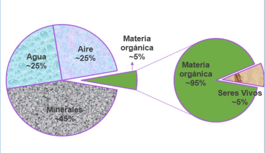 ¿qué es el suelo? Componentes del suelo según su proporción. Blog Neea Flora