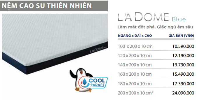 Nệm Liên Á Giá Bao Nhiêu ? 6 Blue