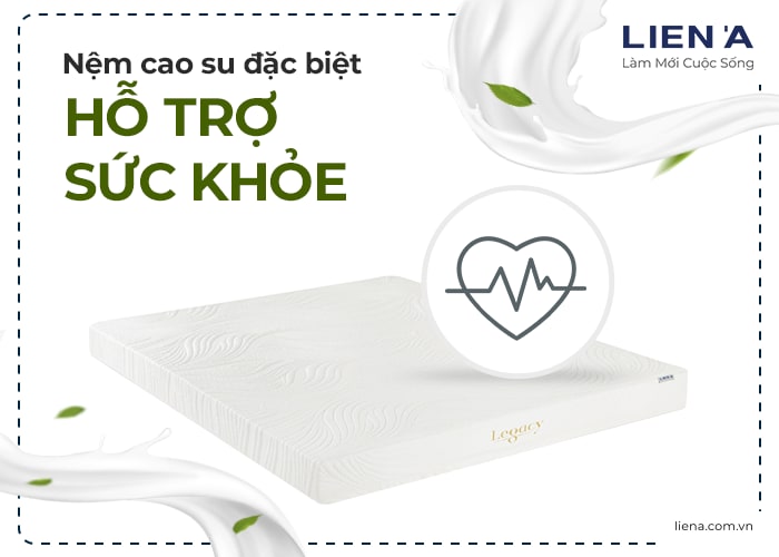 NỆM CAO SU THIÊN NHIÊN CÓ MẤY LOẠI 6 Nem Cao Su Co May Loai Legacy