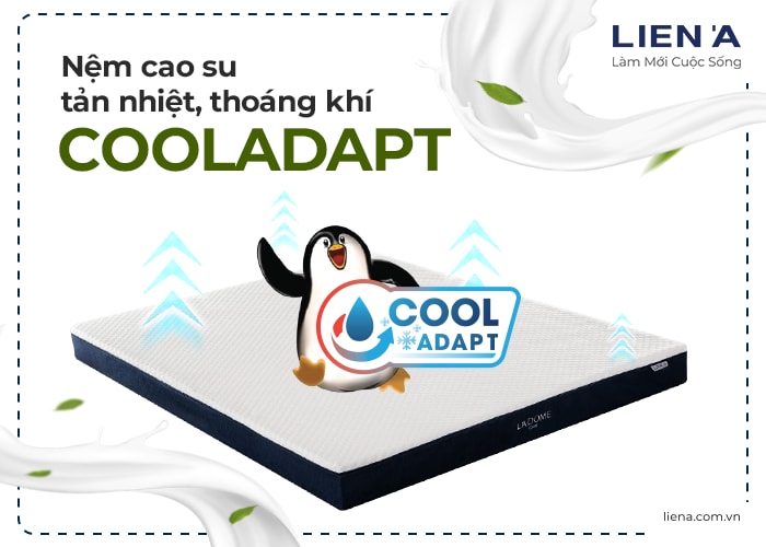 NỆM CAO SU THIÊN NHIÊN CÓ MẤY LOẠI 4 Nem Cao Su Co May Loai Ladome Blue