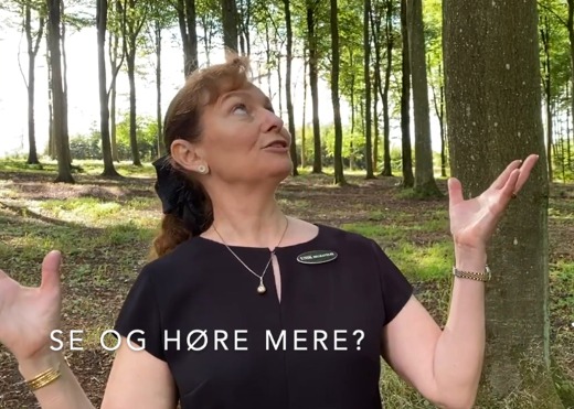 Skovbegravelse – hvad er det