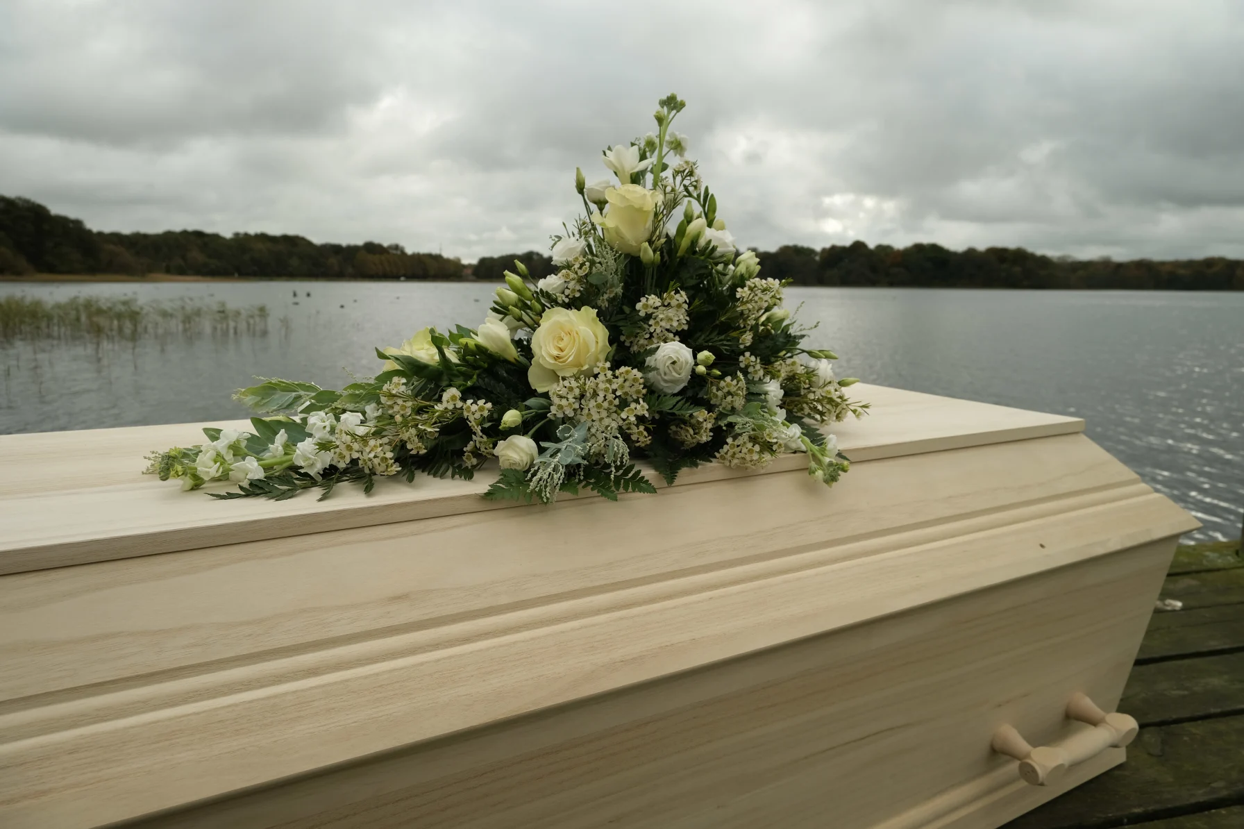 GAIA kiste - ny bæredygtig kiste i massivt Paulowniatræ