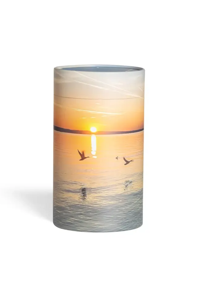 Askerør med fugle der flyver over vand