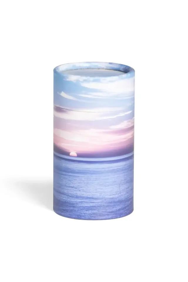 Askerør med hav og himmel