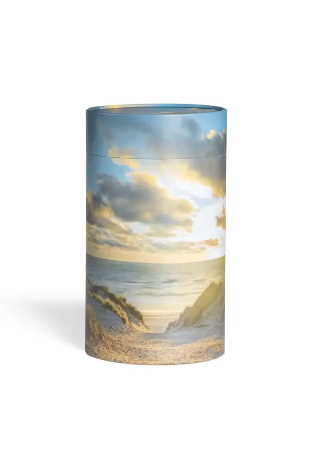 Askerør med strand og hav