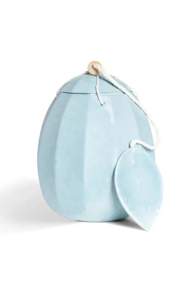 Beyond-Life lyseblå