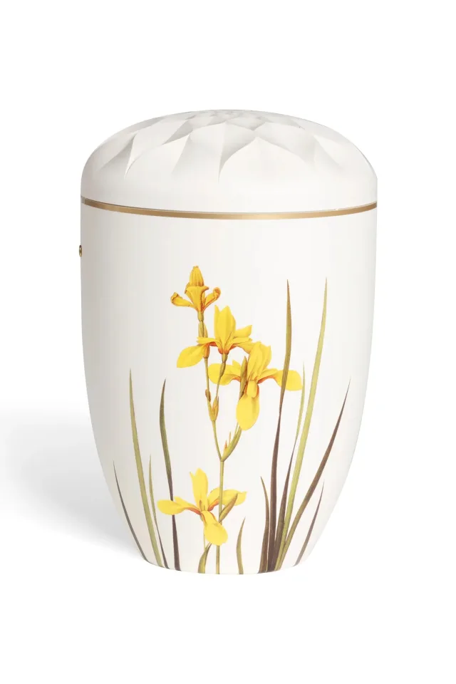 Fryd urne med gul lilje