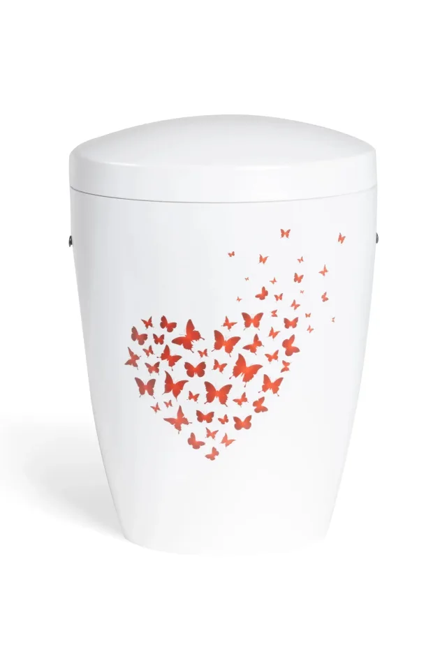 Pludra A, sommerfuglehjerte