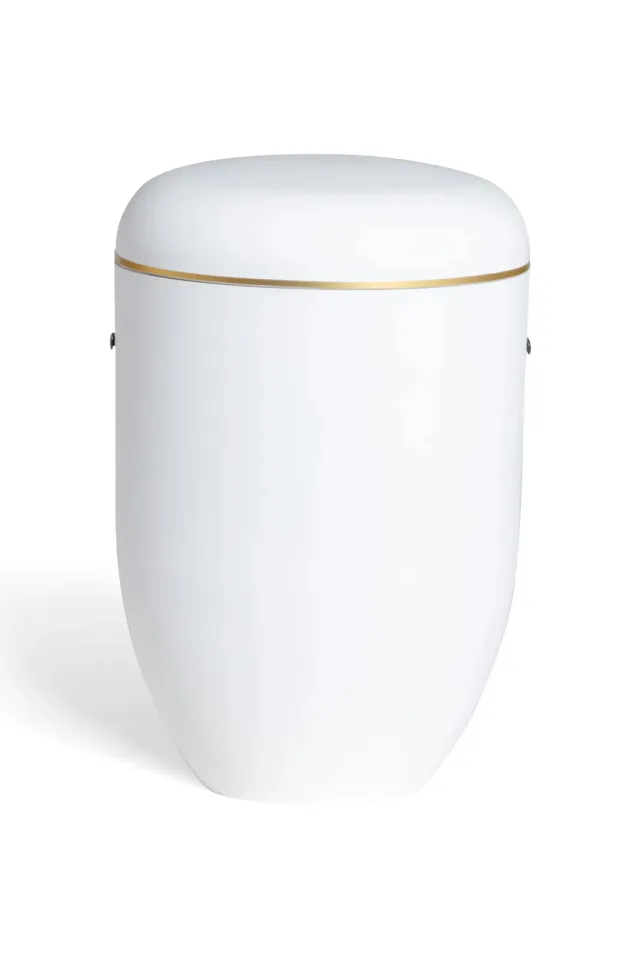 Pludra B, hvid og guldkant