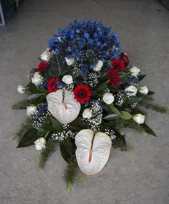 IDE 210 – BLÅ, RØD OG HVID