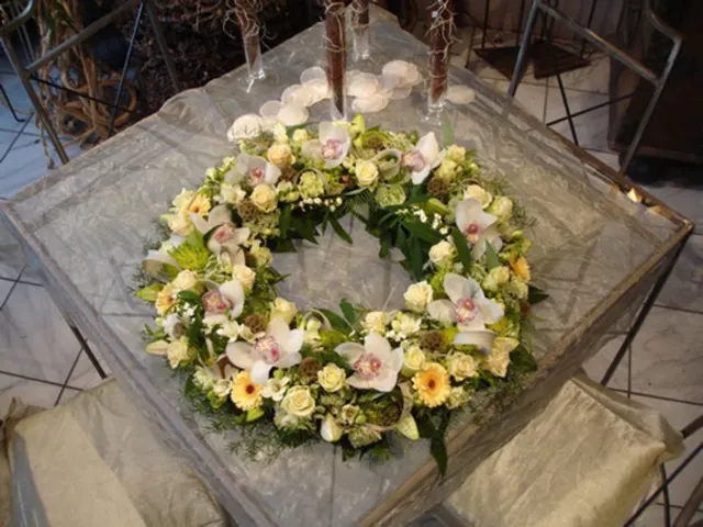 IDE 412 – OASISKRANS-2