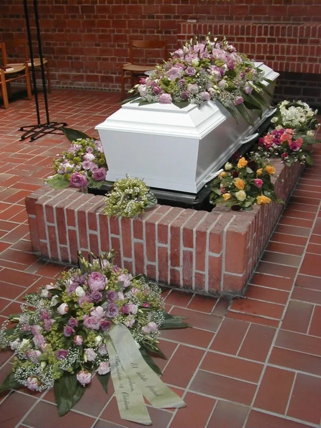 IDE 503 – GAMMELROSA – HVID