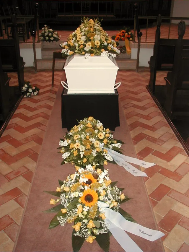 IDE 511 – GUL OG HVID-2