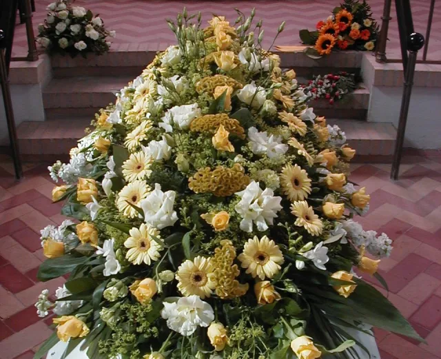 IDE 511 – GUL OG HVID-3