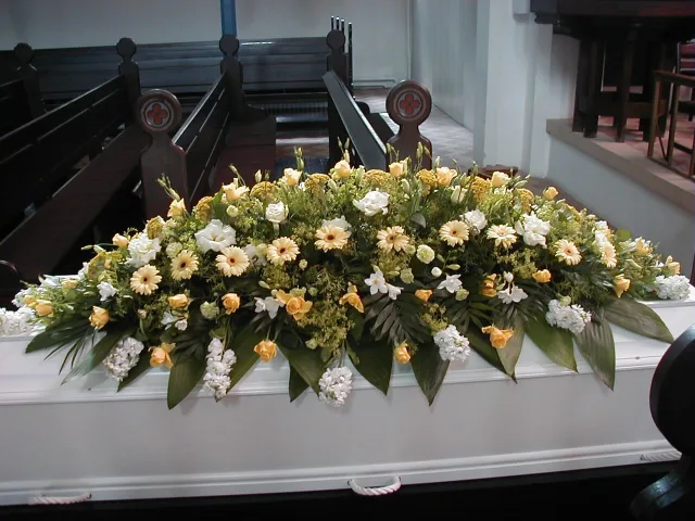 IDE 511 – GUL OG HVID