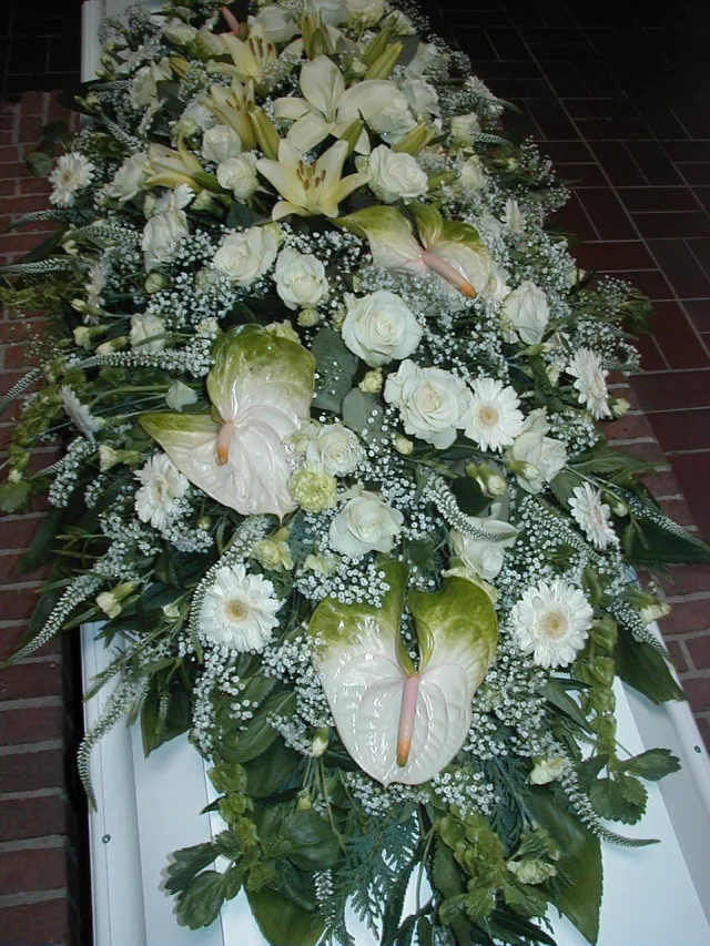 IDE 516 – HVIDE OG GRØNNE FARVER