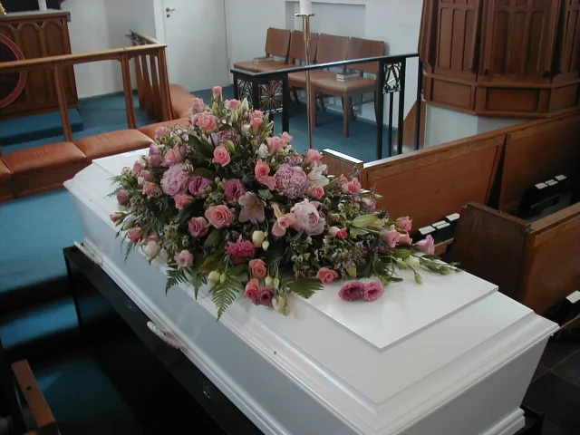 IDE 504 – GAMMELROSA OG LYSERØD