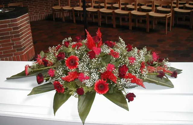 IDE 513 – RØD OG HVID