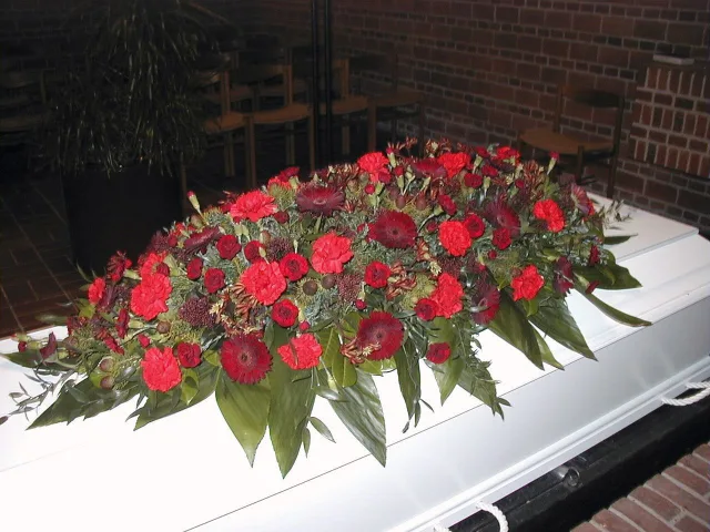 IDE 519 – RØDE NUANCER