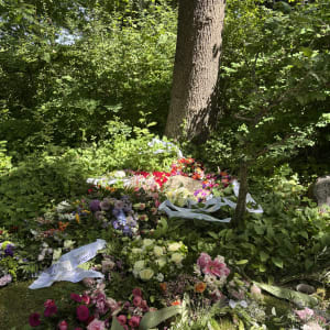 Alle de fine blomster 