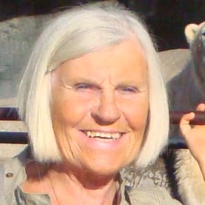 Københavns Zoo 