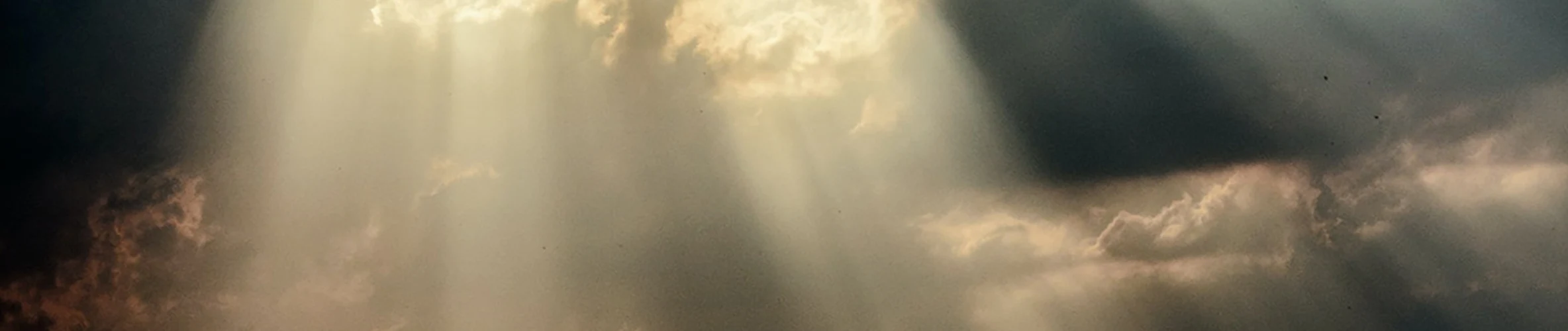 Coverbillede for Arne Birk