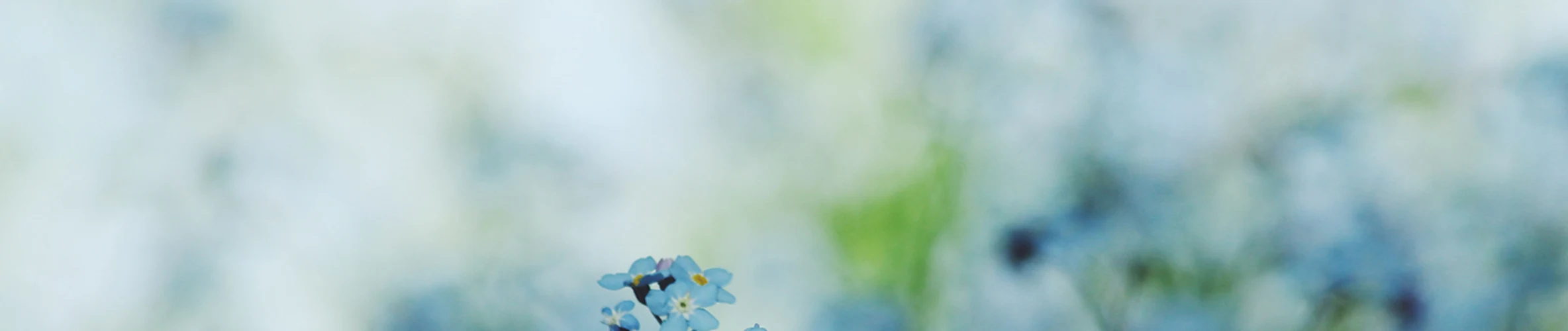 Coverbillede for Anna Therkelsen