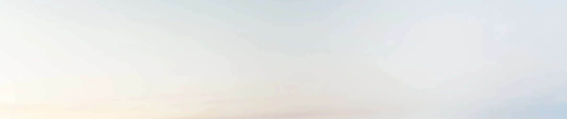 Coverbillede for Birgit Inge Schjøtt