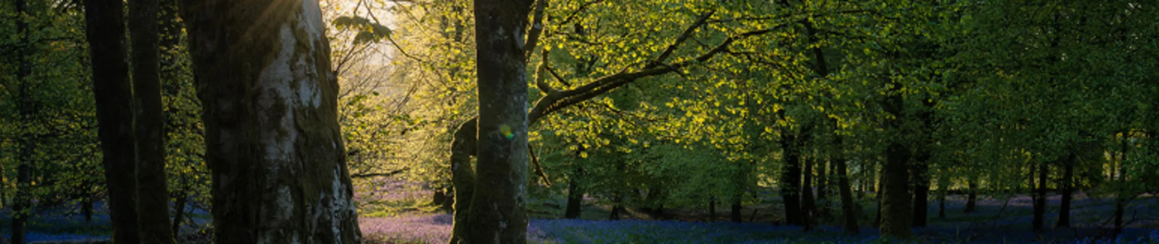 Coverbillede for Poul Bjerregaard Christensen