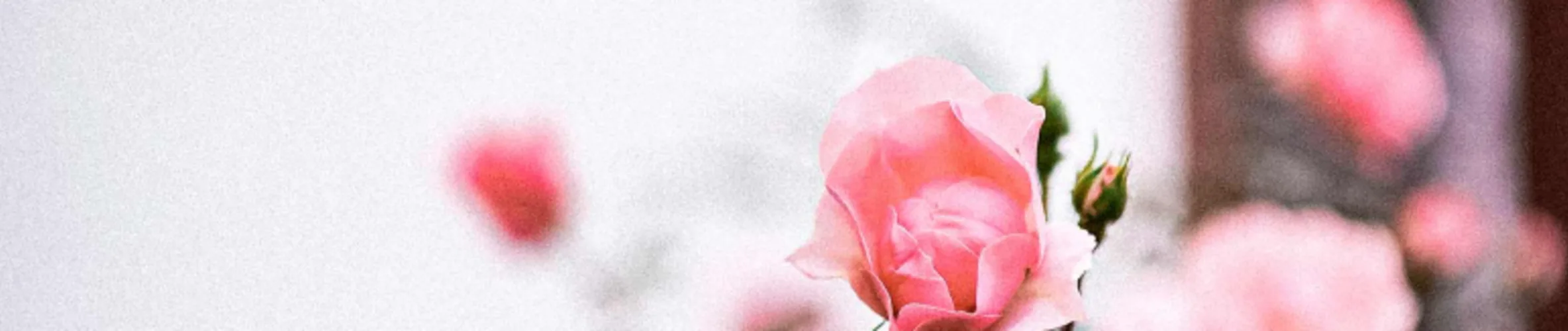 Coverbillede for Grethe Ida Olsen