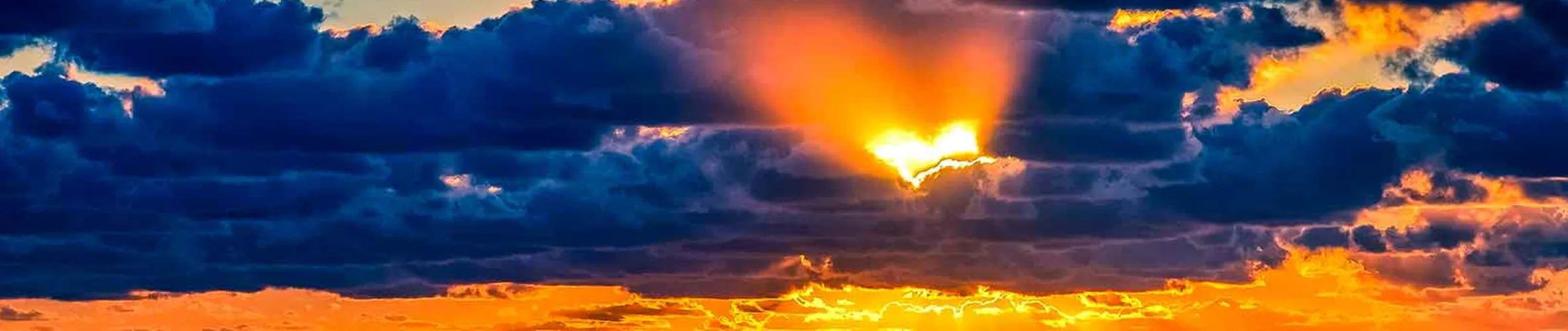 Coverbillede for Rosa Andersen