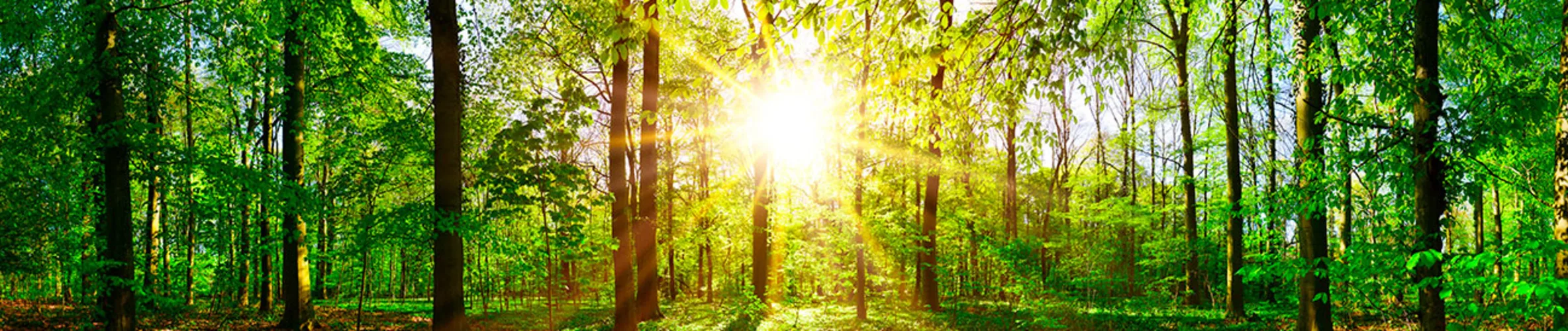 Coverbillede for Helga Sofie Hjerrild