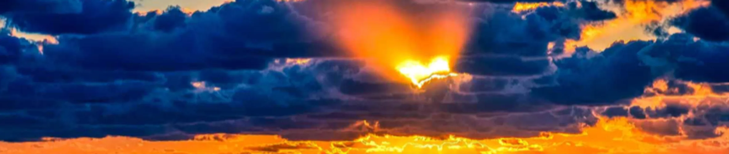 Coverbillede for Michael Suhr