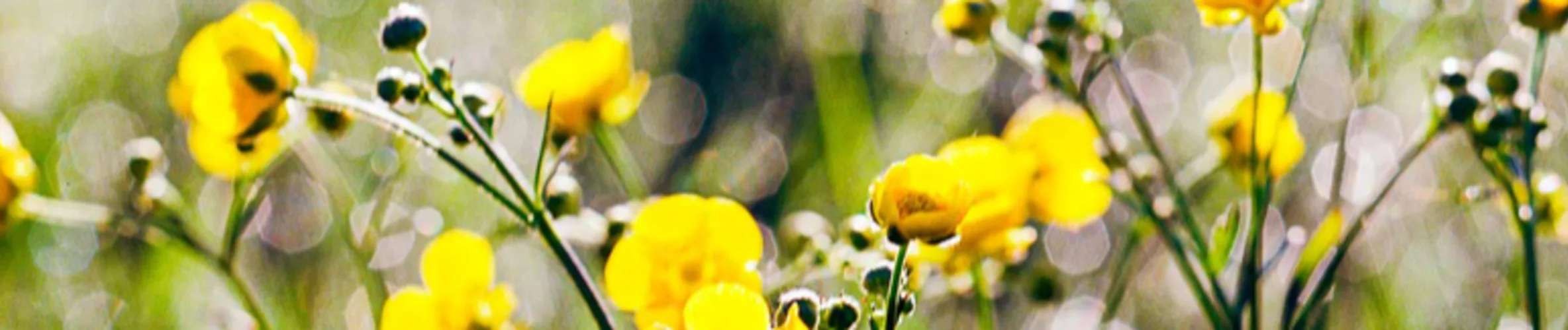 Coverbillede for Jørn P. Andersen