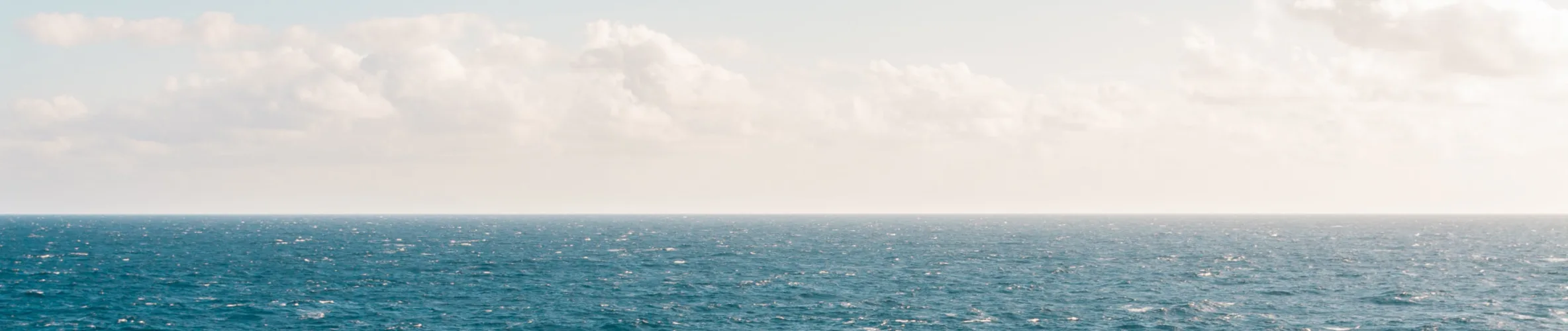 Coverbillede for Halfdan Pors Kiilerich