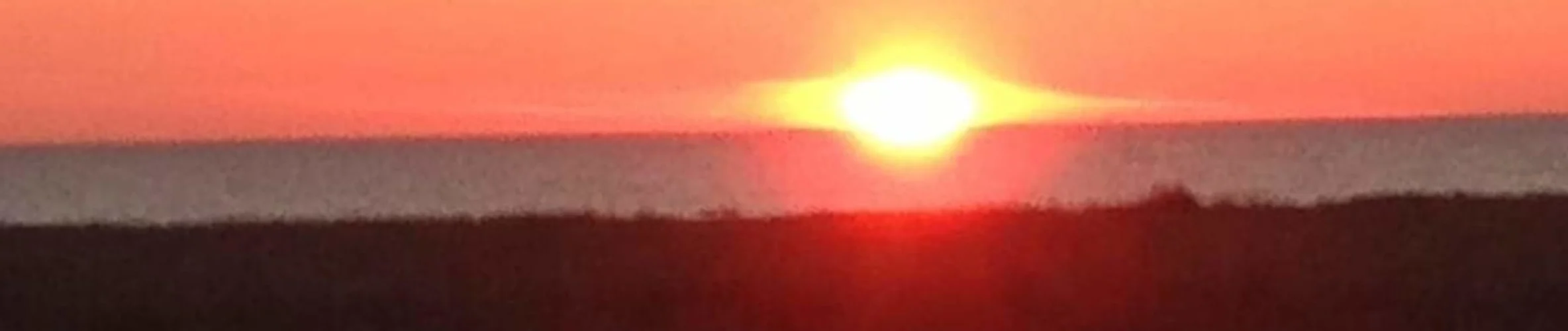 Coverbillede for Susanne Bente Jensen