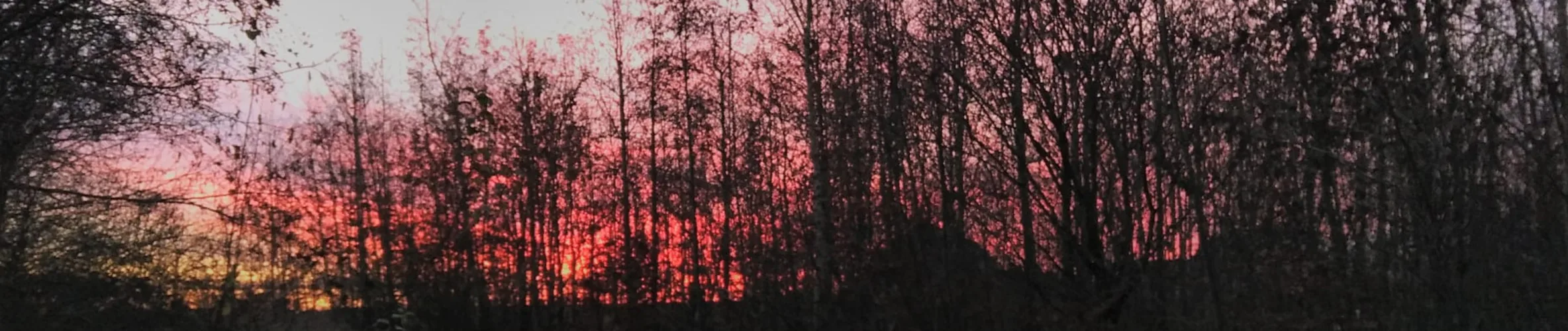 Coverbillede for Ole Kirk Ejsing