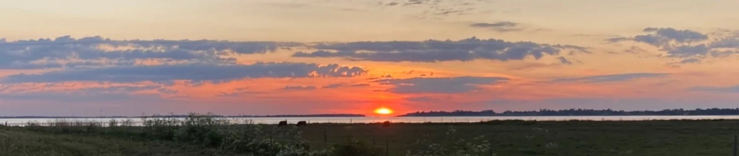 Coverbillede for Torben Møller Pedersen