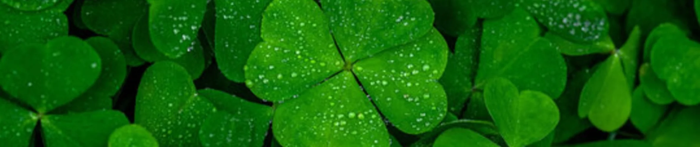 Coverbillede for Karen Kirstine Hylleberg Jørgensen