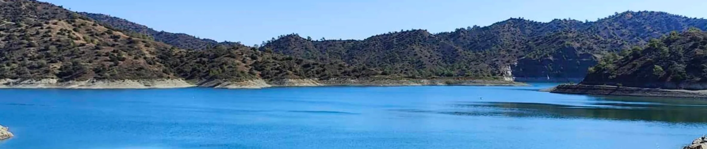 Coverbillede for Flemming Hald