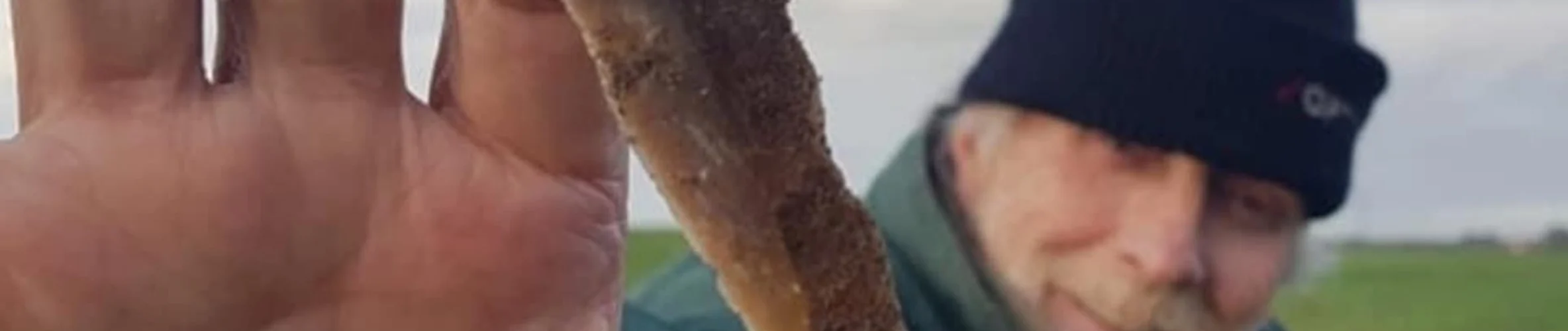 Coverbillede for Finn Grønbæk Frandsen