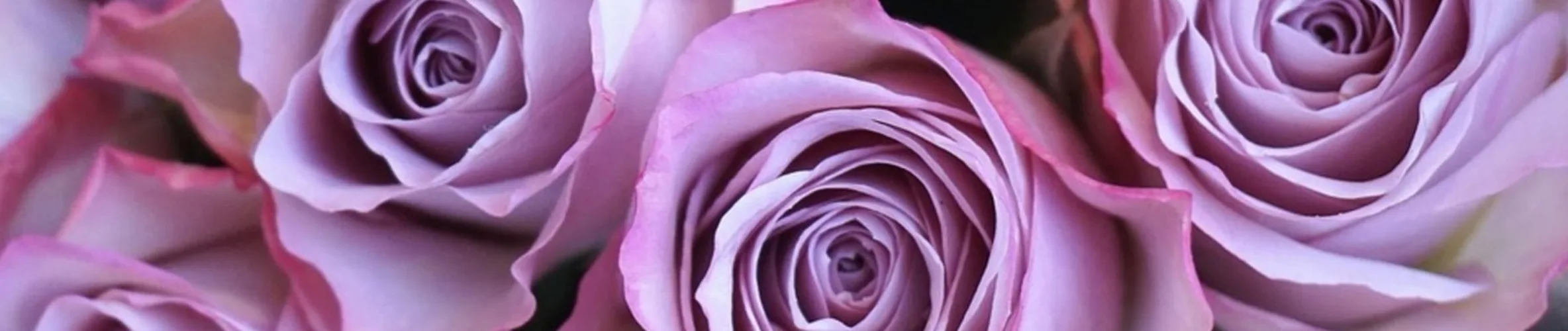 Coverbillede for Henny Irene Madsen