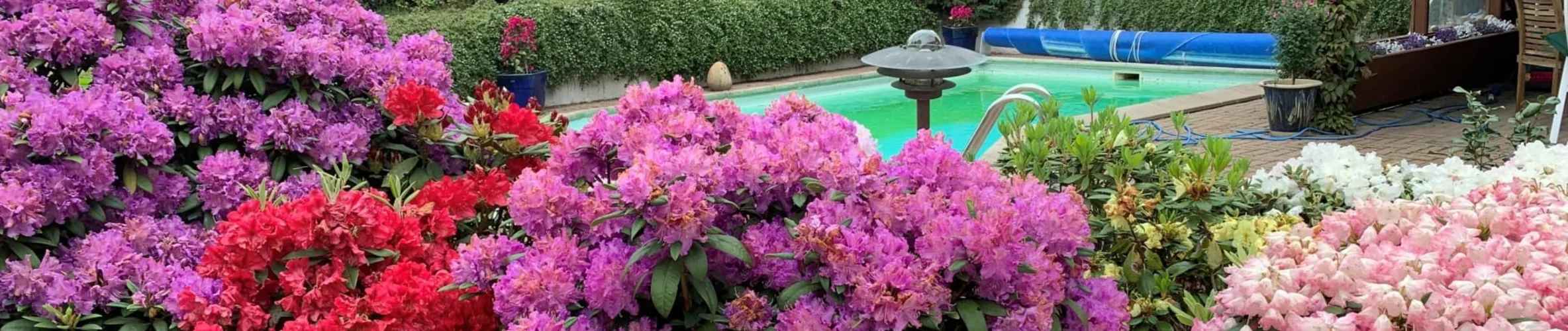 Coverbillede for Inge Jensen