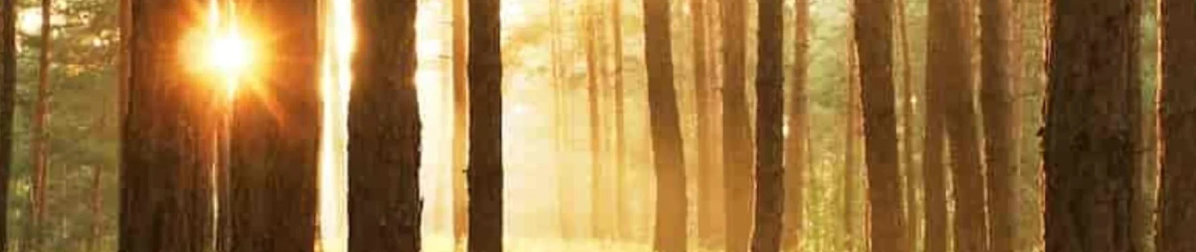 Coverbillede for Kristian Thomsen