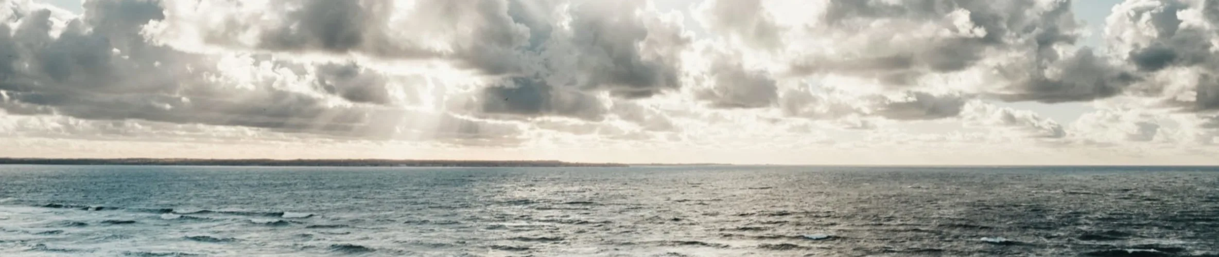 Coverbillede for Niels Ihlemann