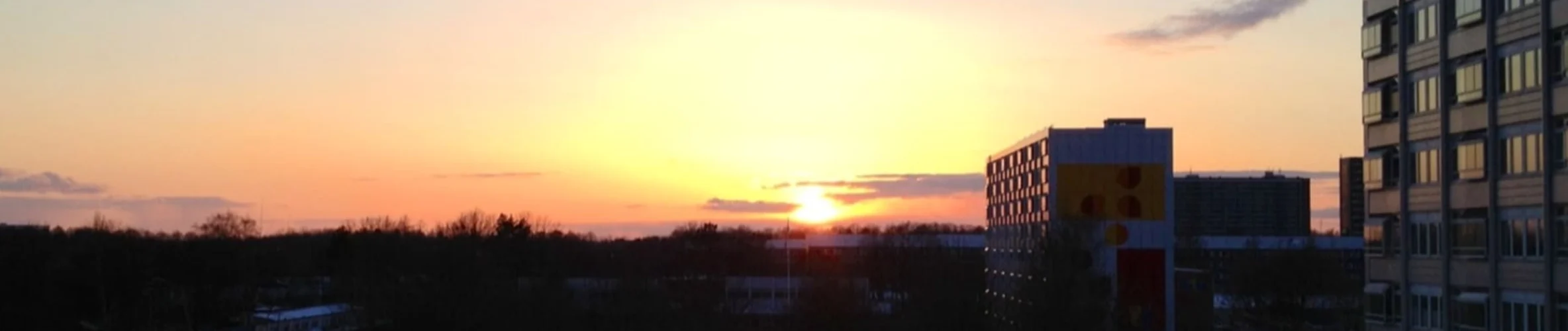 Coverbillede for Susanne Fabritius de Tengnagel