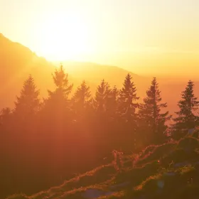 Mindeside for Erik Dalsgaard